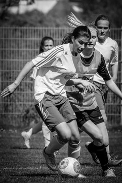 Bild 2619 - wBJ FSC Kaltenkirchen - TSV Bordesholm : Ergebnis: 2:2